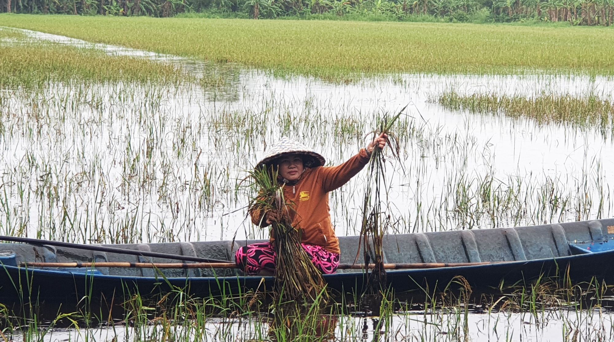 Mưa lớn kéo dài, miền Tây ngập khắp nơi