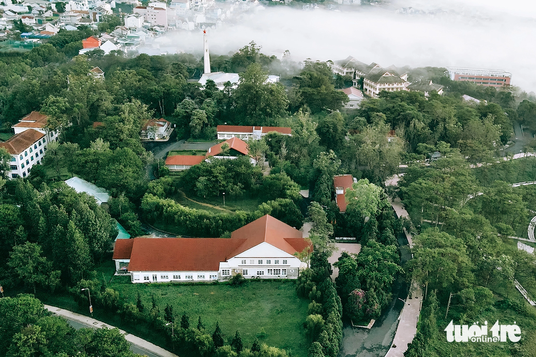 Khuôn viên Trường đại học Đà Lạt là công sở có mảnh xanh lớn nhất Đà Lạt - Ảnh: KỲ PHONG