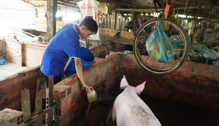 Xúc động hình ảnh cậu học trò Đất Mũi xách cặn, lượm ve chai trên đường đến trường - Ảnh 13.